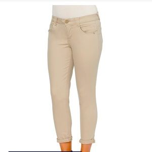 Democracy “Ab”solution Color Ankle Skimmer Petite Skinny Color jeans